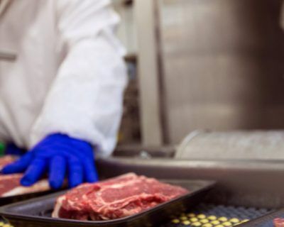 food handling safety course