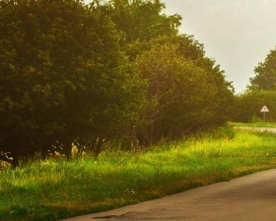 Entry-Level Driver Training: Trip Planning