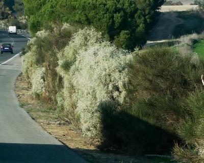 Entry-Level Driver Training: Environmental Compliance Issues