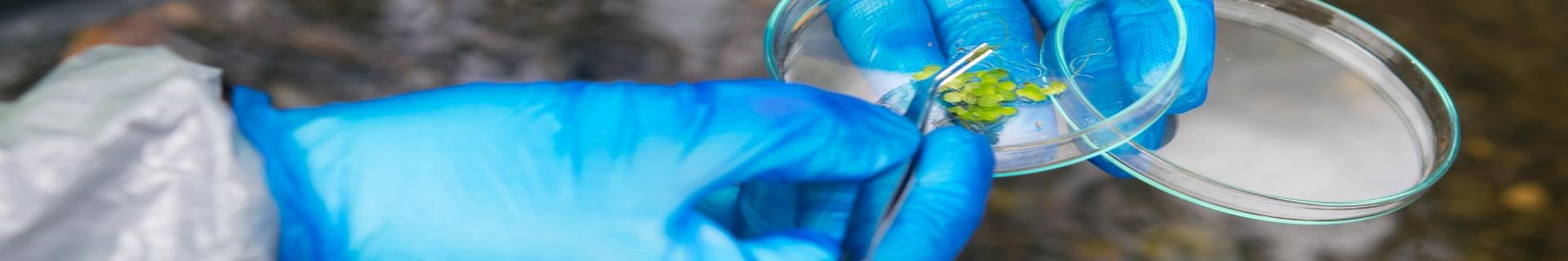 Laboratory Safety - Refresher
