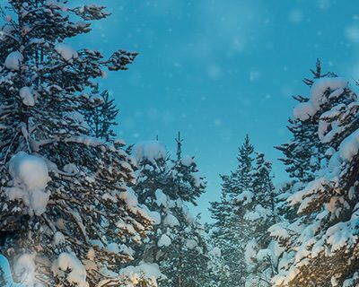 Winter Driving Program