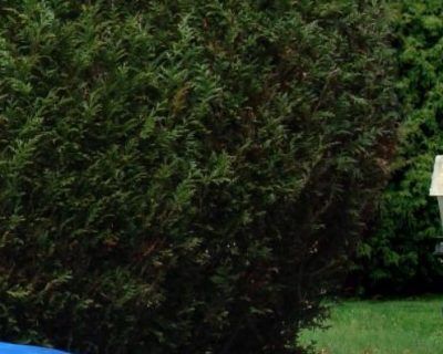 landscaping safety