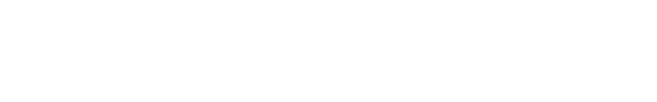 Company name
