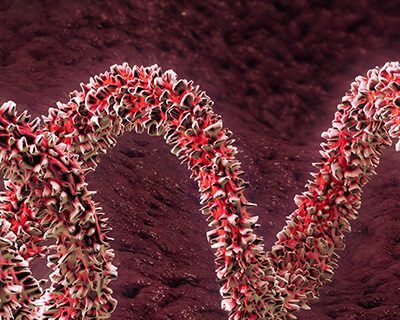 Bloodborne Pathogens: Safety in the Workplace