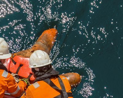 maritime man overboard training