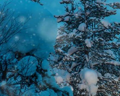 Defensive Driving: Extreme Winter Driving with Skid Control/Recovery 2020
