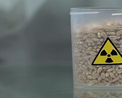 Introduction to Radiation Safety