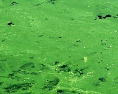 Stormwater Pollution Prevention