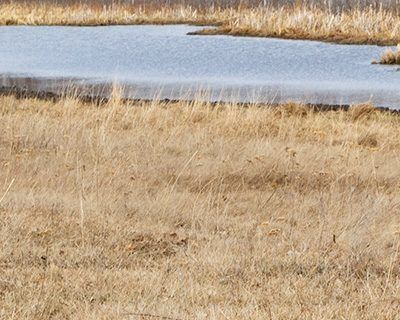 Ground Disturbance Awareness Online