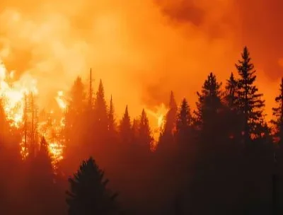 Wildfire Safety Training