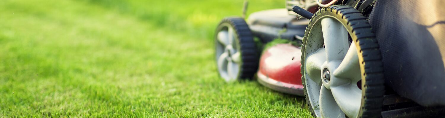 lawnmower safety training