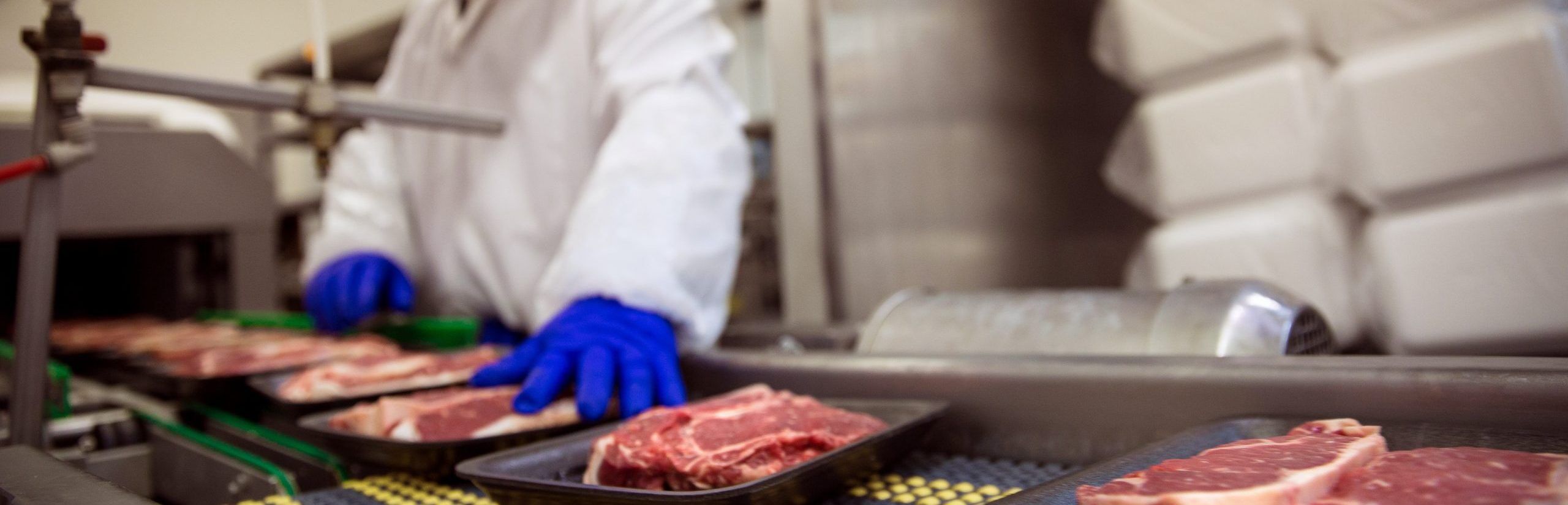 food handling safety course