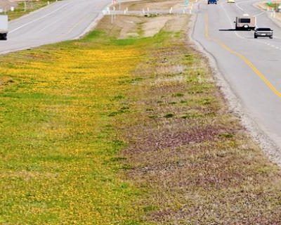 Corrective Action Training: Hazmat Emergency Response Information