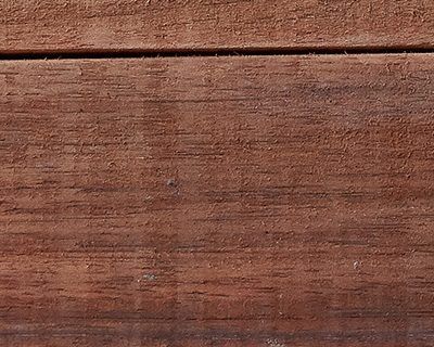 Head, Eye, & Face Protection: PPE Employee Essentials