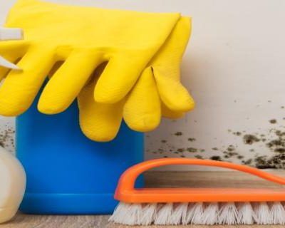 Mold Awareness (CAN)