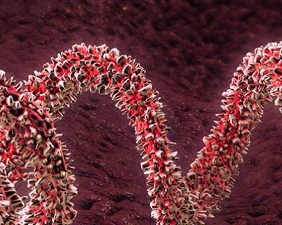 Patógenos hemáticos: Seguridad en el trabajo