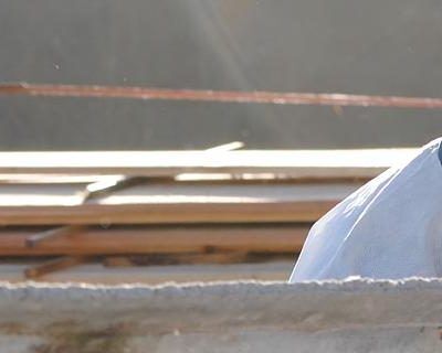 Máscara para polvo - Lineamientos de uso voluntario