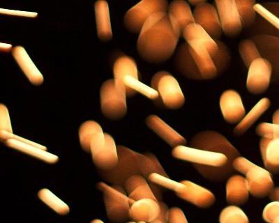 Polvo combustible (US)