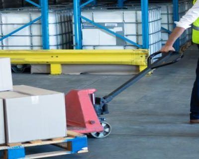 Gatos Eléctrico para Paletas