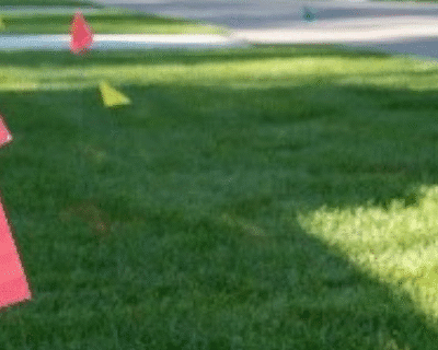 Red and yellow utility locate flags marking underground cables and pipelines in a suburban U.S. neighbourhood.