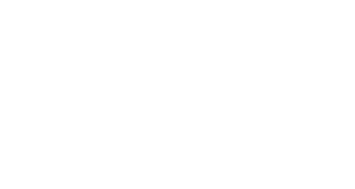 Company name