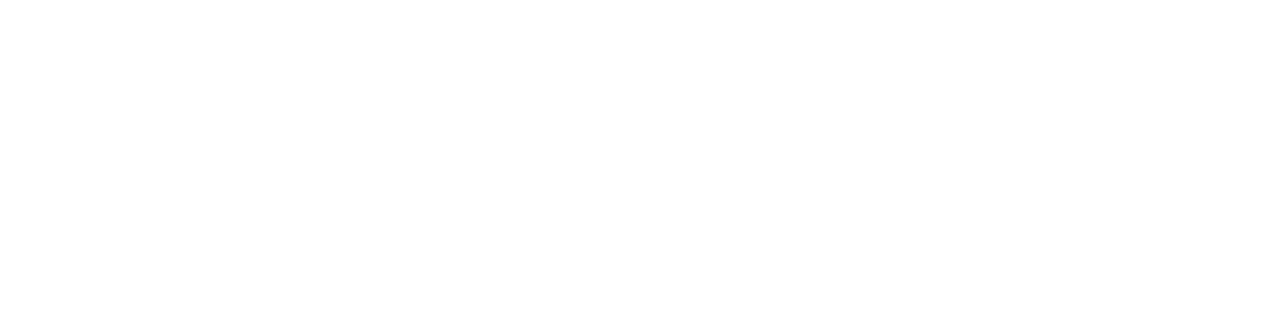 Company name